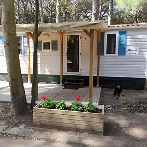  Ferienhaus Mipro Mobilhome 5